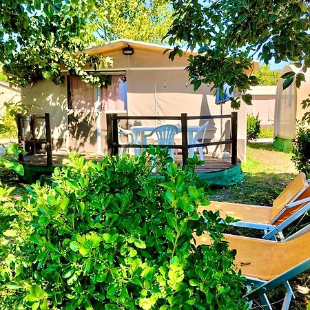 International Glamping Lago Di Bracciano Trevignano Romano Exterior photo