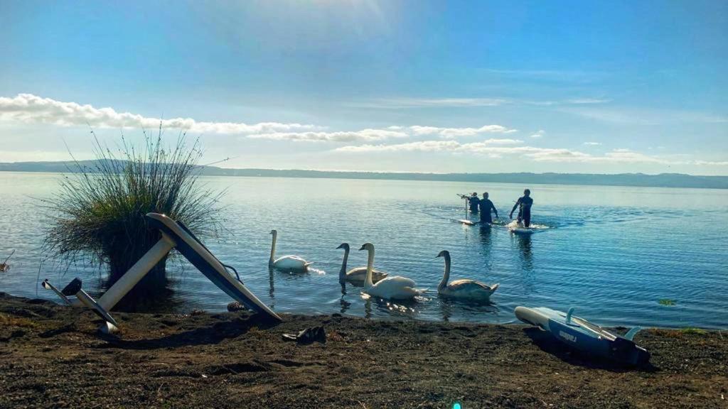International Glamping Lago Di Bracciano Trevignano Romano Exterior photo
