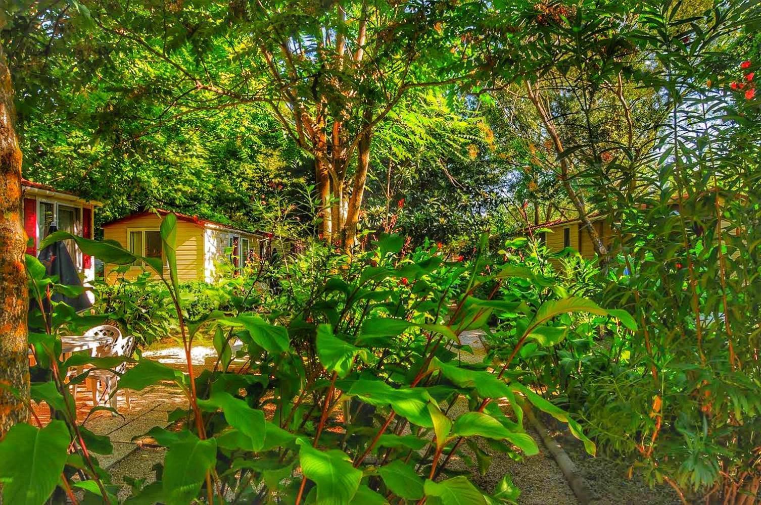 International Glamping Lago Di Bracciano Trevignano Romano Exterior photo