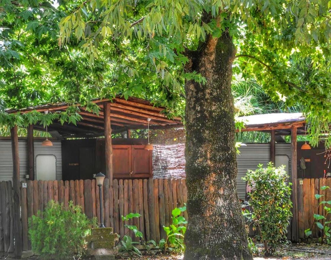 International Glamping Lago Di Bracciano Trevignano Romano Exterior photo